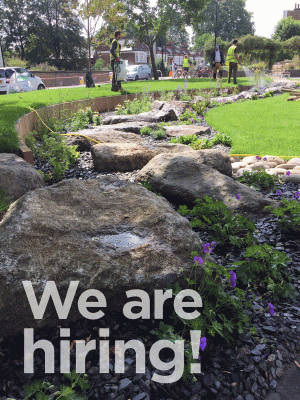 Ireland Albrecht We Are Hiring Image